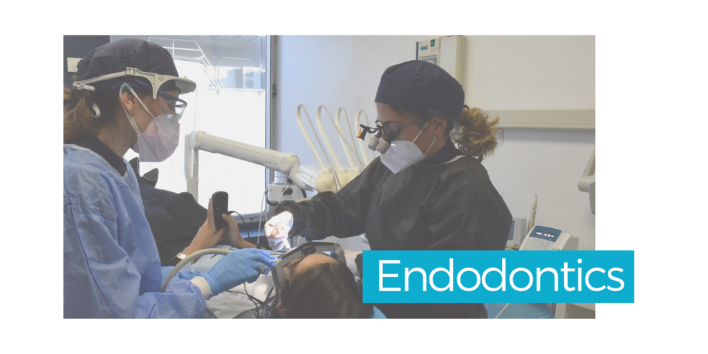endodontics ortiz-vigon